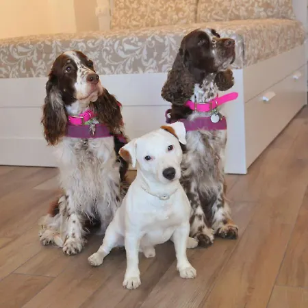 C'era Volta Open Space Sestri Levante