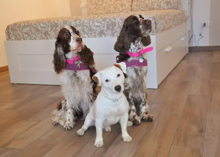 C'era Volta Open Space Sestri Levante